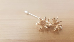 Ti Kouka Double Treasure